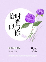 恰似时光与你