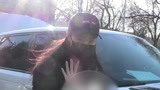 倪妮李佳琦等亮相春晚语言类审核现场 一起期待“牛”转乾坤吧