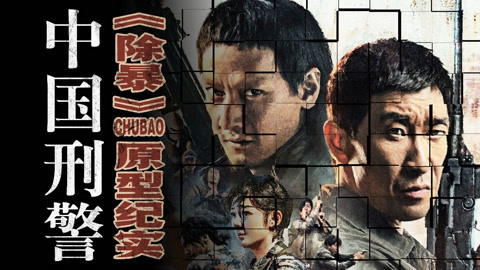 【中国刑警】除暴原型纪实第82集-教育-高清正版影音线上看-爱奇艺