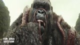金刚骷髅岛：史前大猩猩30米高，把大章鱼当刺身啃，太凶残了！