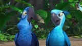 里约大冒险：鸟儿逃到森林里，居然会被当地鸟欺负，不给鸟面呀！