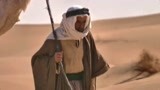 沙漠女王：沙漠女王到达黑伊尔，是受欢迎还是被杀？