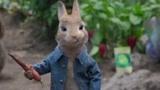 比得兔：兔子偷菜被人类发现，伙伴们默契配合，帮他逃离农场！