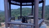 独立连：内奸身份暴露，见势不妙转身就逃，连长飞刀一秒夺命