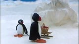 企鹅家族：小企鹅爸爸让小企鹅去买糕点