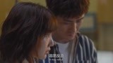 以年为单位的恋爱：两人带狗去看病，杨玏却一直想着工作