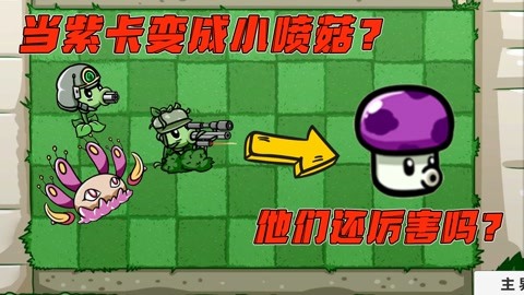 大嘴与小鬼头的相爱相杀 植物大战僵尸:当紫卡变成