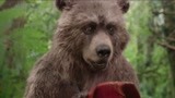 《帕丁顿熊》论熊为了果酱有多激动 小熊无意恶搞叔叔