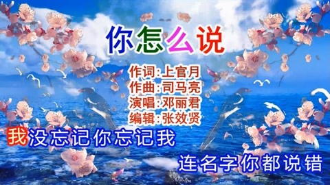 卡拉ok字幕好听歌曲演唱视频合集 邓丽君演唱《你怎么说》经典回顾