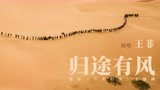 【万里归途】王菲献唱主题曲《归途有风》，独特音色配感人歌词！