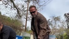 75岁施瓦辛格被洛杉矶的坑“坑惨”去填坑，市政不领情：他帮倒忙