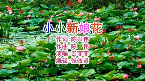 云菲菲演唱的《小小新娘花》歌声甜美，深情好听