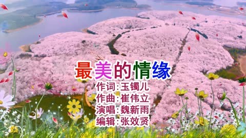 魏新雨演唱的《最美的情缘》柔柔情歌，醉人心扉