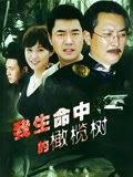我生命中的橄榄树