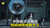 小狗被主人弃养，横跨半个国家报复狗主人，喜剧《复仇狗联盟》中