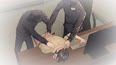 严警官错误的决定