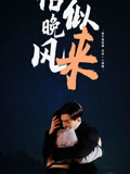 恰似晚风来