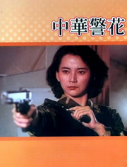 中华警花
