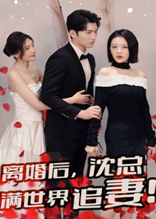 离婚后沈总满世界追妻