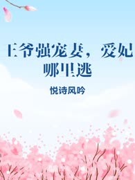 王爷强宠妻，爱妃哪里逃