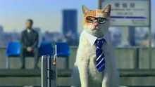 日本Recruit搞笑广告 猫先生出差记