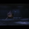 黑水狂鲨
