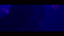 Hubert Félix Thiéfaine - Fenêtre sur désert (VIXI Tour XVII au Palais des Sports 2015) (Live Video)