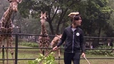 《二十四小时2》幕后：陈坤变小长颈鹿疯狂自拍