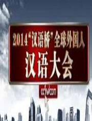 2014“汉语桥”全球外国人汉语大会