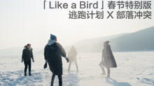 逃跑计划 - Like A Bird (《部落冲突》春节特别版）