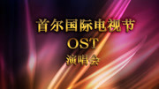 首尔国际电视节OST演唱会