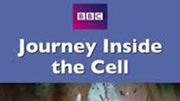 BBC：神秘旅行之细胞内部之旅