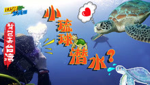 背包去台湾：小琉球潜水，与绿蠵（xi）龟共舞
