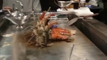 日本秋田鲜活龙虾铁板烧！好饿好饿好饿