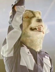 Man With A Mission Fly Again 现场特辑 音乐 背景音乐视频音乐 爱奇艺