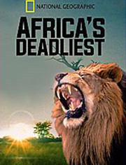 非洲最致命动物第2季