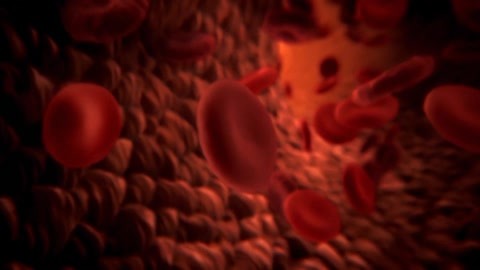人体奥秘：人体血管竟可以绕地球两圈 红细胞的漫长旅程