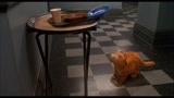 加菲猫踩着个餐具托盘在楼梯上冲浪啦