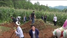 贵州农村一80岁苗族大爷走了，葬在玉米地里