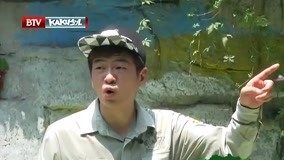 온라인에서 시 卡酷动物园2016 2016-08-25 (2016) 자막 언어 더빙 언어