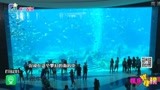 《海王》热映突破17.5亿票房 三亚·亚特兰蒂斯海底美景受影迷追捧