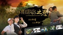 watch the latest Lovesickness (2019) with English subtitle English Subtitle