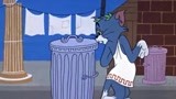 在垃圾桶里生活的希腊猫咪 这老鼠窝怕是一个皇宫