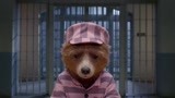 布朗一家今天没来探视帕丁顿熊  小熊在监狱里委屈无助又可怜
