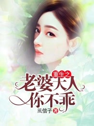 重生之老婆大人你不乖