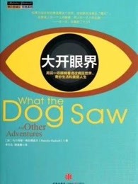 大开眼界： 用另一双眼睛看透这疯狂世界、奇妙生活和美丽人生