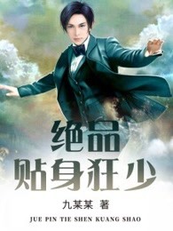绝品贴身狂少
