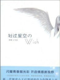 划过星空的WISH