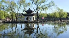 碧波荡漾 蓝天白云 近距离感受北京陶然亭公园 风景和人文历史