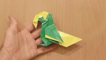 漂亮鹦鹉的折纸方法1